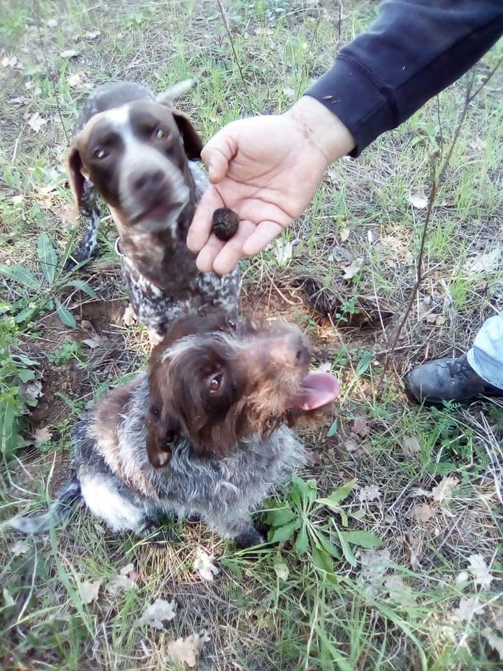 cipriani tartufi, продукты с трюфелем