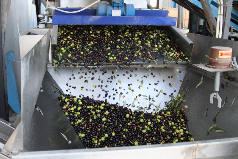 GUSTOLIO оливковое масло extra virgin